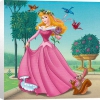 http://www.stmivani-ff.cz/gallery/Sleeping-Beauty-Disney-135840.jpg
