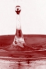 /gallery/blood_by_anti_natmister.jpg