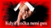 /gallery/kočka.jpg