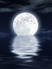http://www.stmivani-ff.cz/gallery/moonlight_on_sea_by_olbor62-d3kex3h.jpg