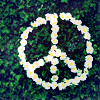 /gallery/peace.gif