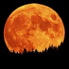 /gallery/red_moon.jpg