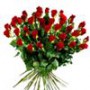 http://www.stmivani-ff.cz/gallery/thumbs/155950_main.jpg