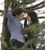 http://www.stmivani-ff.cz/gallery/thumbs/E-B-3-edward-and-bella-2531610-567-378_mala.jpg