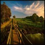 http://www.stmivani-ff.cz/gallery/thumbs/bridge.jpg