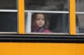 http://www.stmivani-ff.cz/gallery/thumbs/buss%20school.jpg