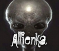Allienka