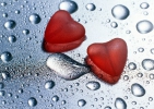 /gallery/0ff26287861fed0153ab4cfce36a20b7.jpg