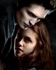 Plakáty s tématikou Twilight!
