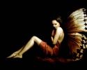 /gallery/af4b158d65_67937681_o2.jpg
