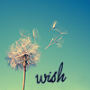 /gallery/f14d3f711a34d6ea107cf4293a92a527.png