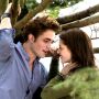 /gallery/twilightinstyle-1.jpg